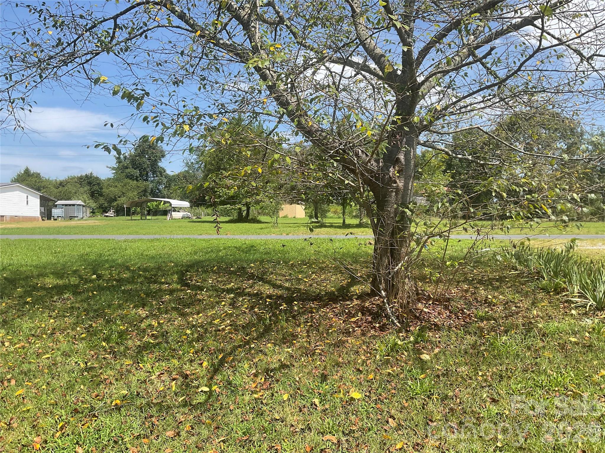 204 Conifer Drive