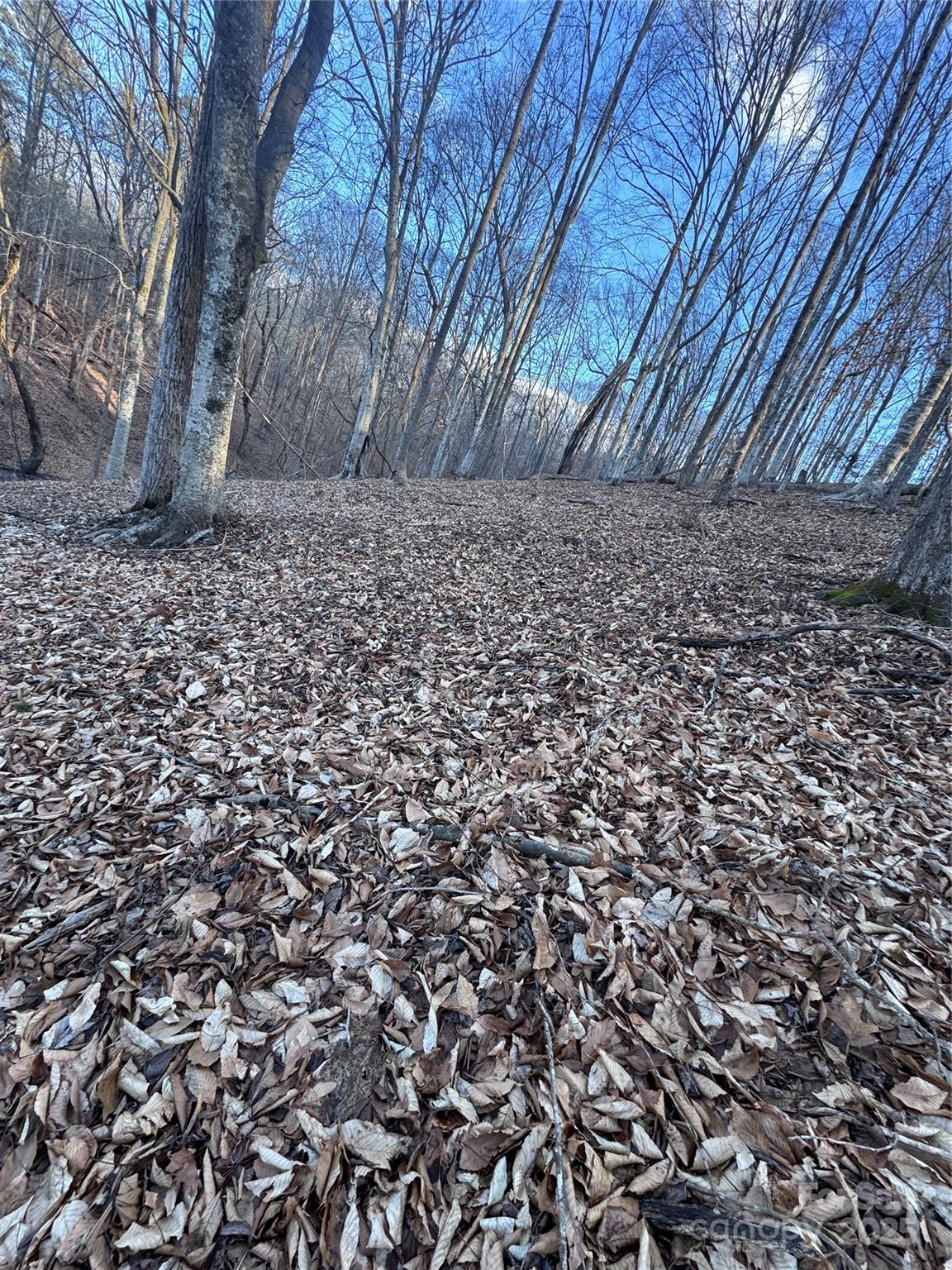 Clearwater Creek - Land