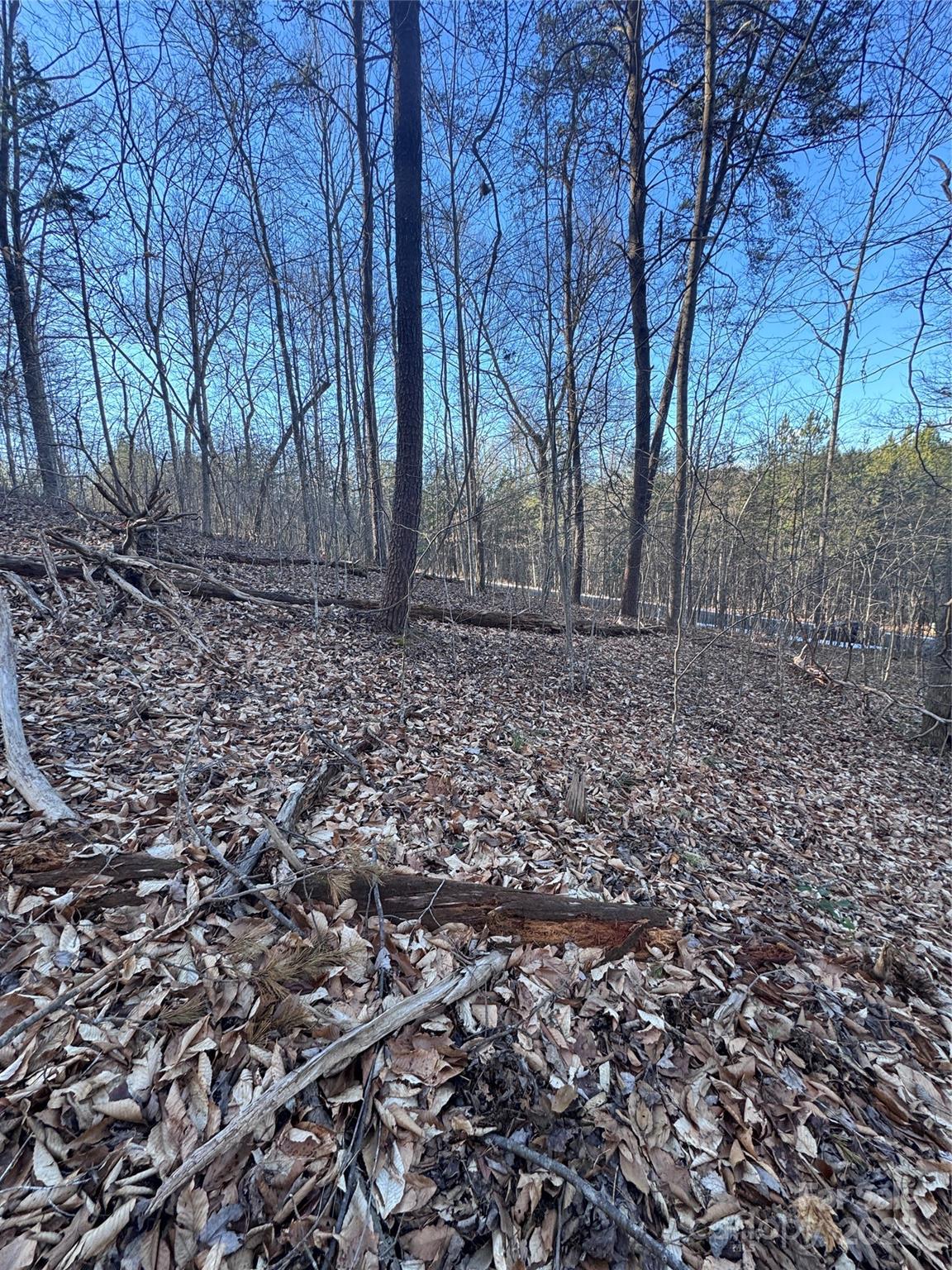 Clearwater Creek - Land