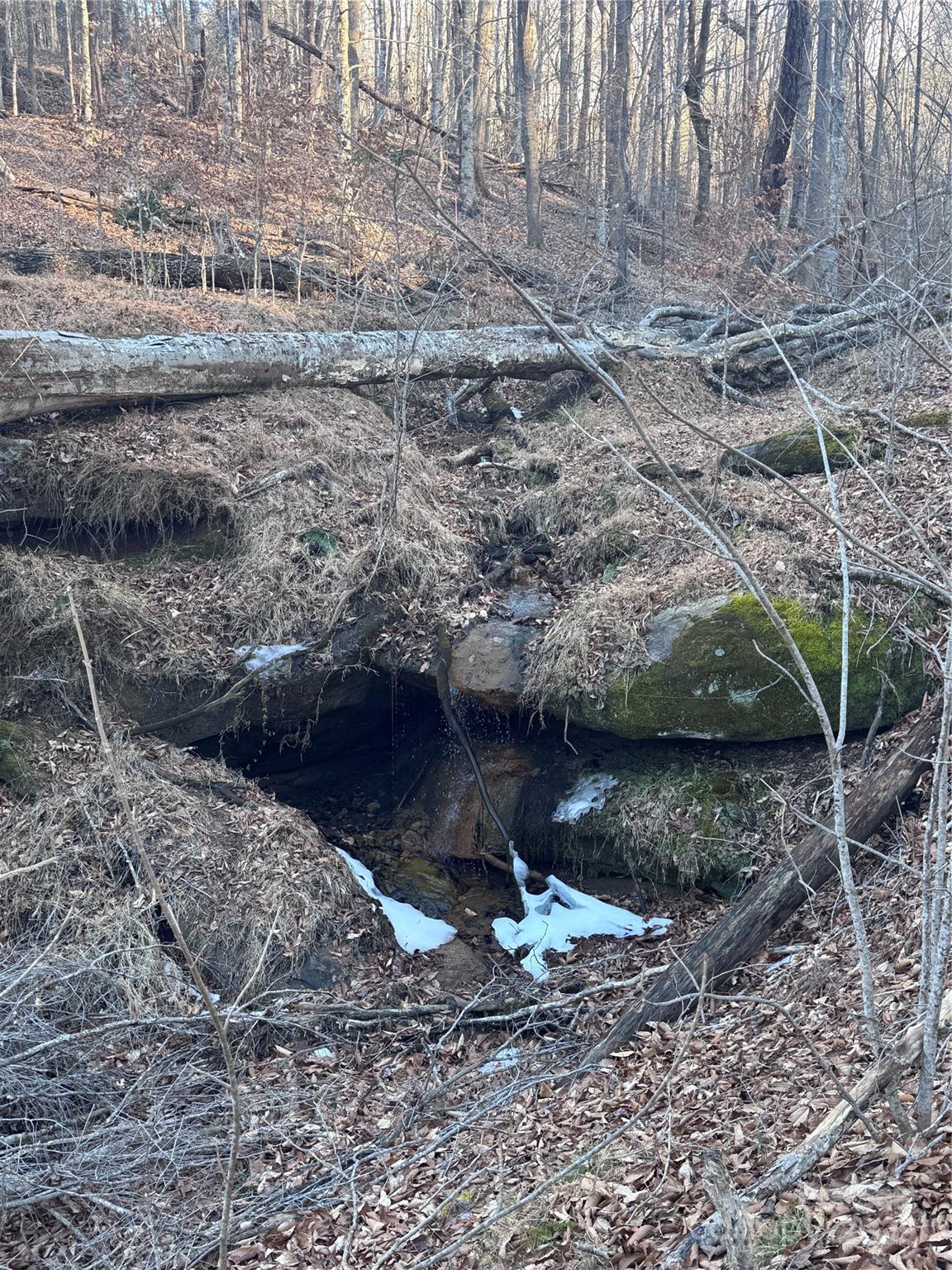 Clearwater Creek - Land