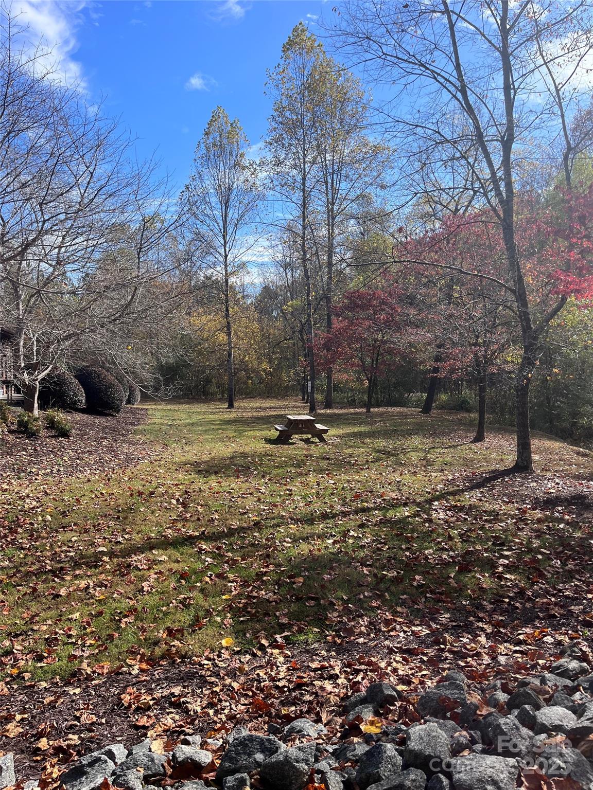 Clearwater Creek - Land