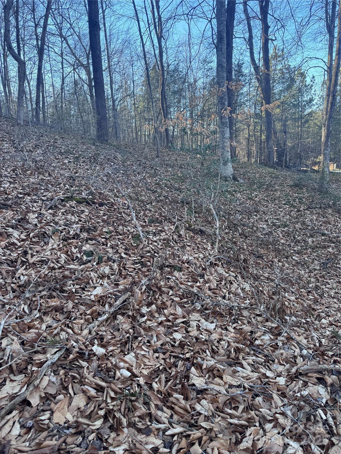 Clearwater Creek - Land