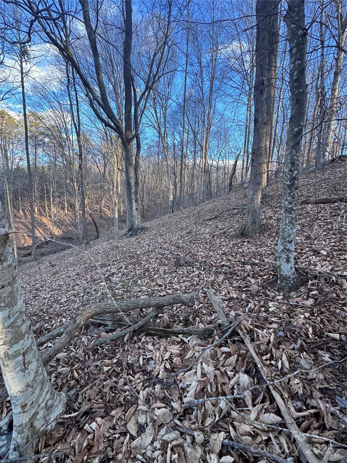 Clearwater Creek - Land