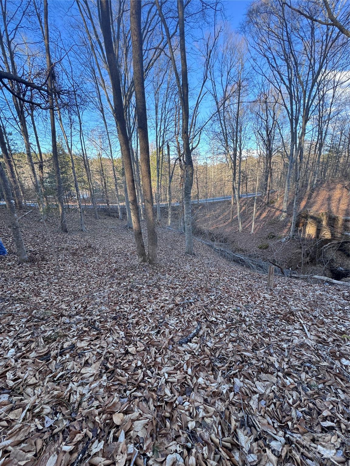 Clearwater Creek - Land