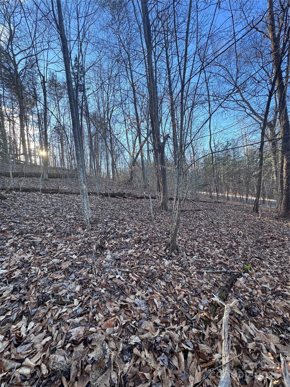 Clearwater Creek - Land