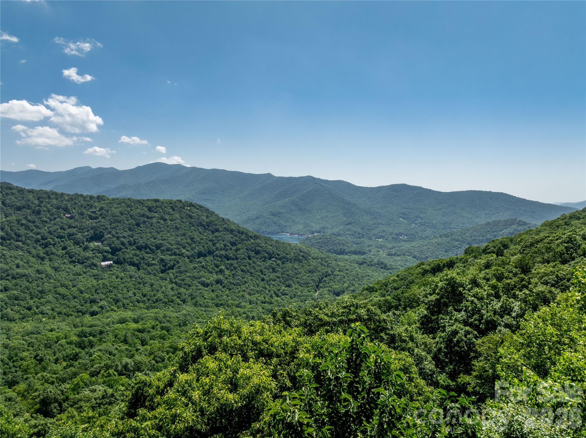 8 White Birch Court 424