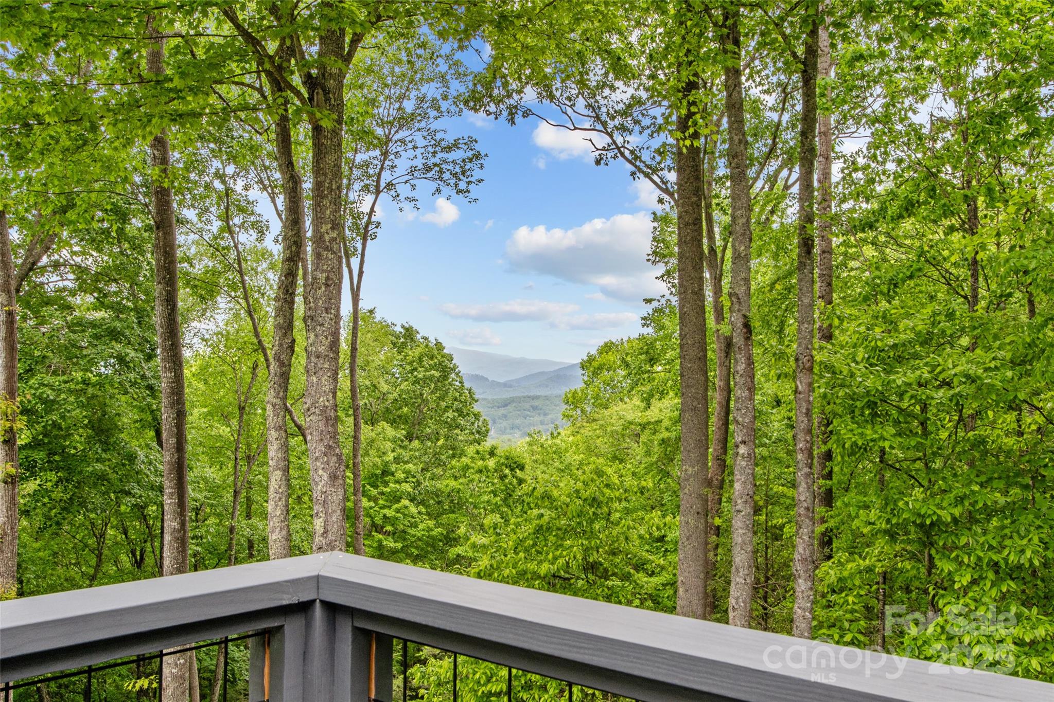 1595 Hickory Springs Road