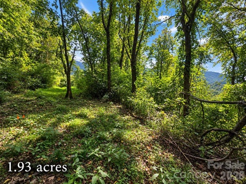 Photo of 81 Dove Crest Lane #18 & 33, Waynesville, NC 28786 (MLS # 4426609)