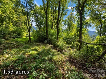 81 Dove Crest Lane 18 & 33 Waynesville NC 28786