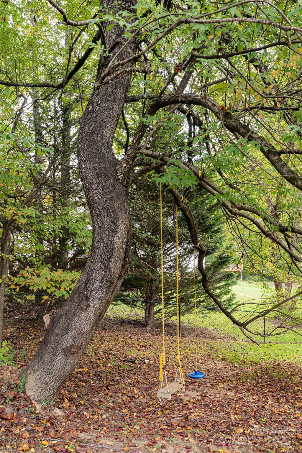 Windsor Forest - Residential