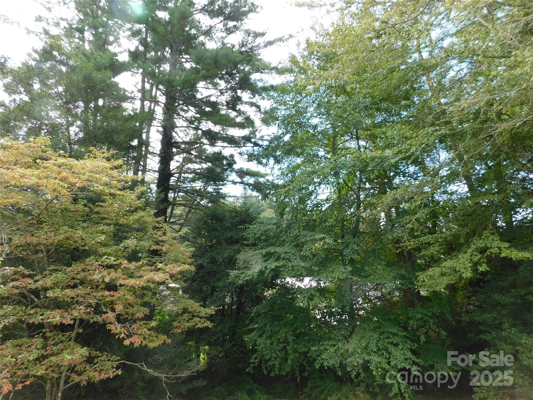 Pisgah Heights - Residential