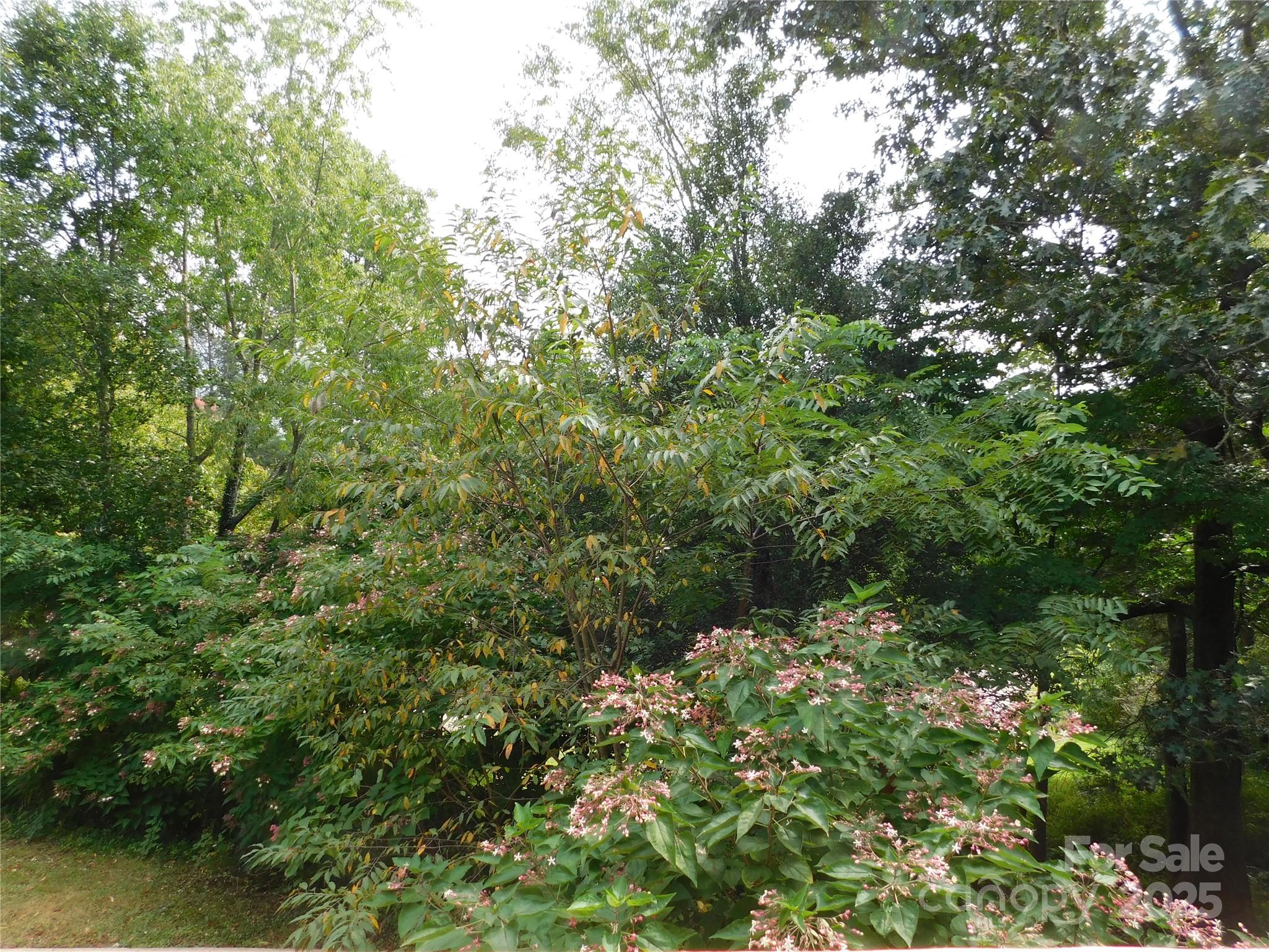 Pisgah Heights - Residential