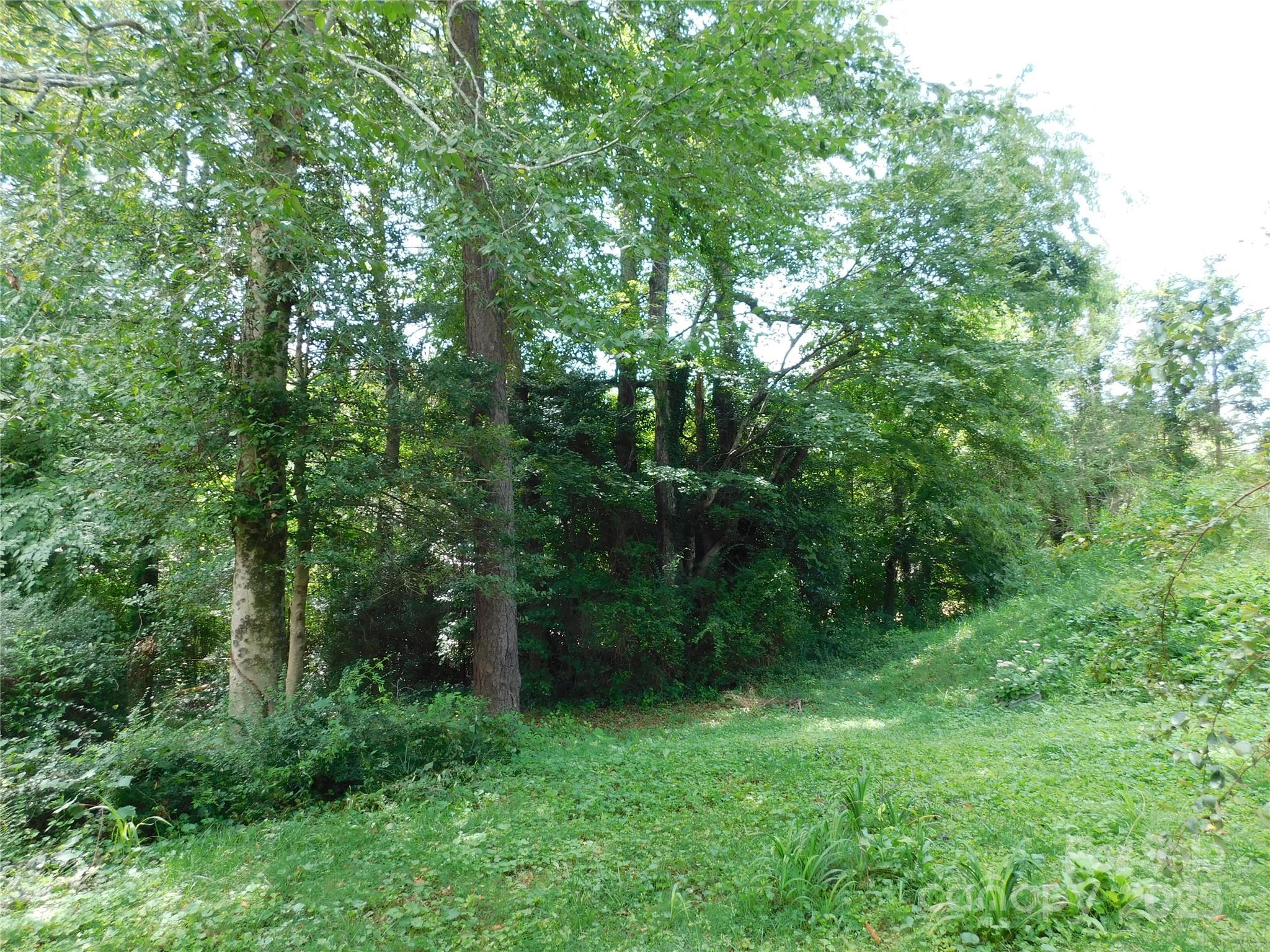 Pisgah Heights - Residential