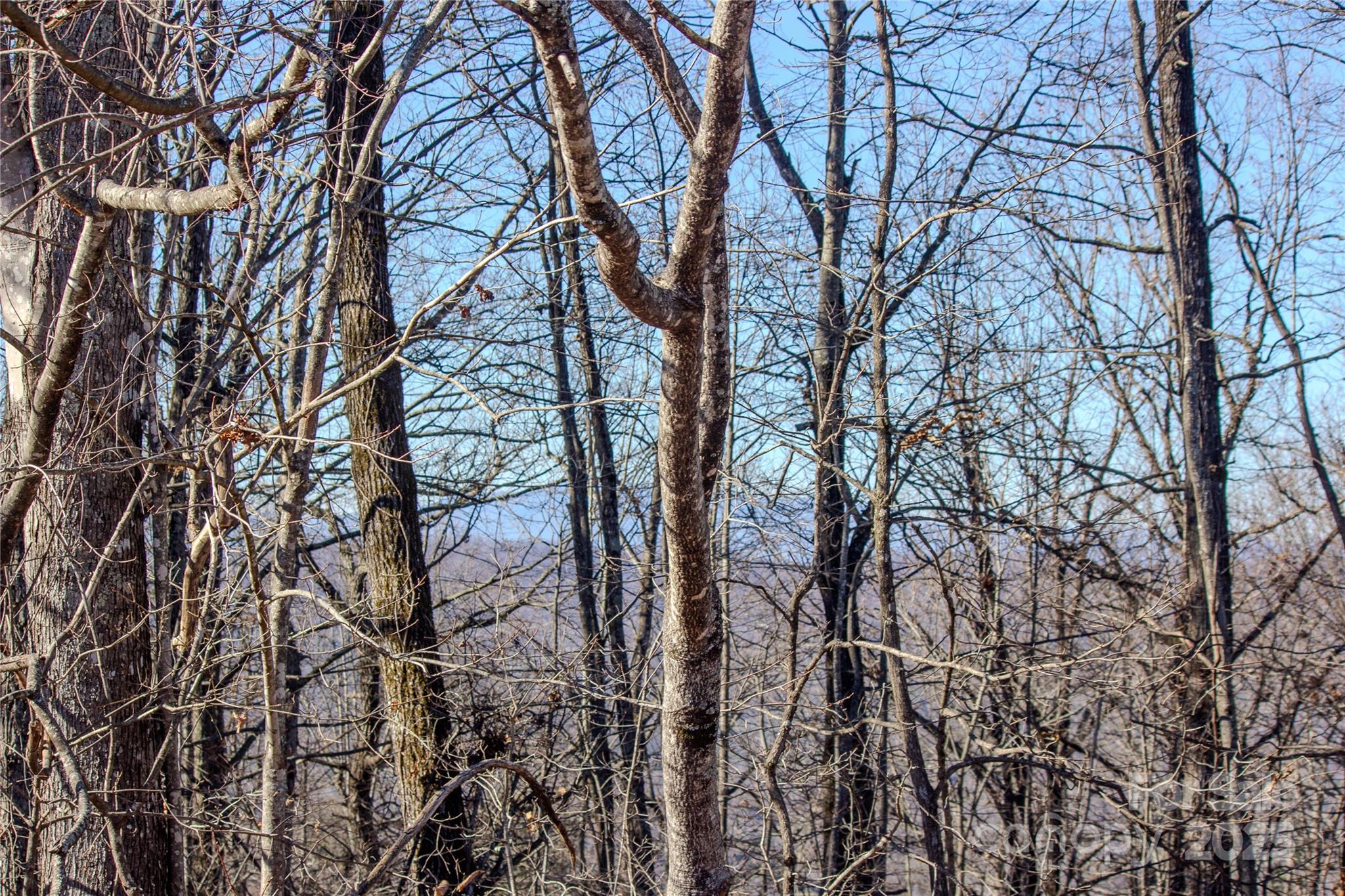 Eagle Heights - Land