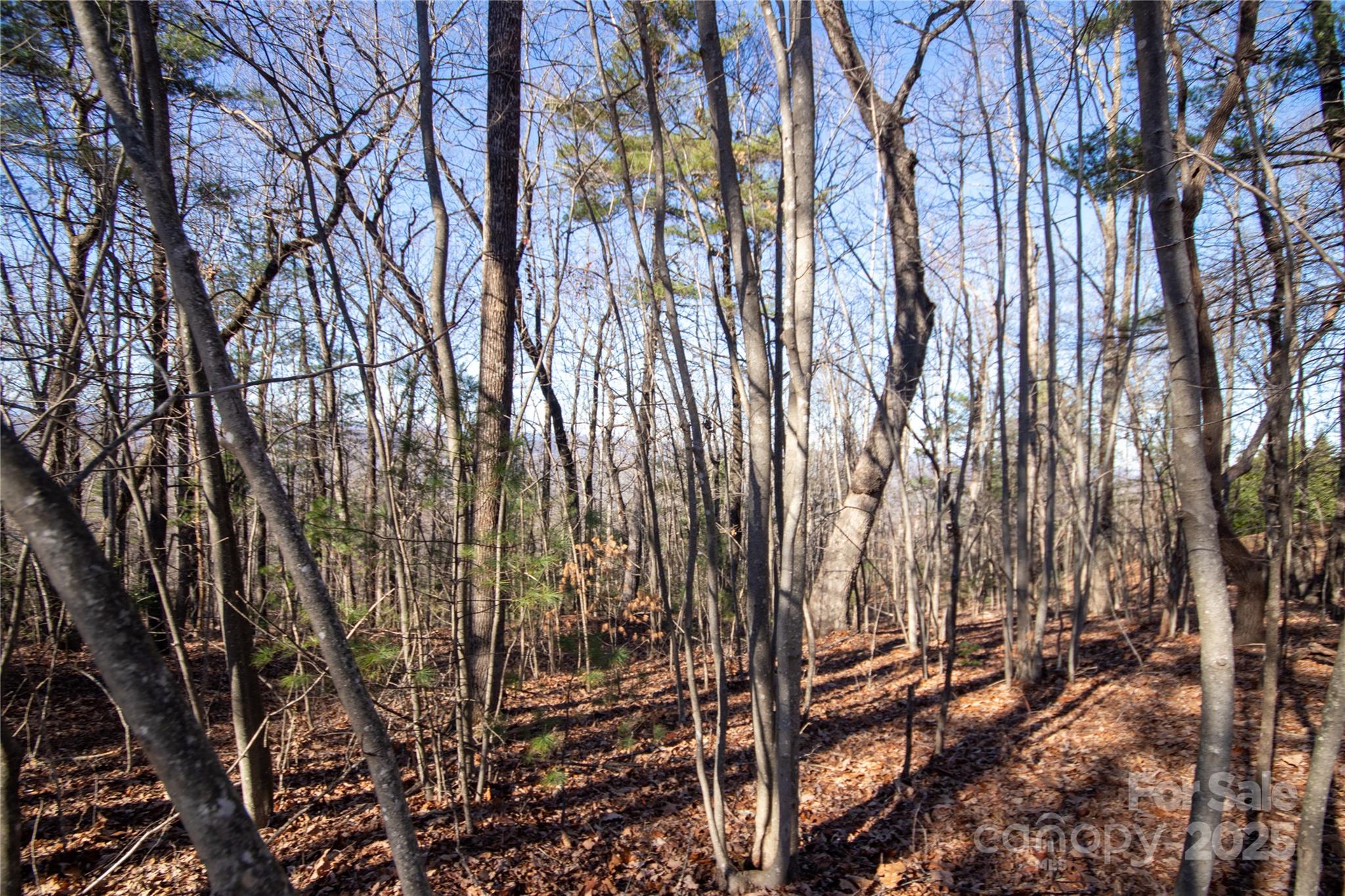 Eagle Heights - Land