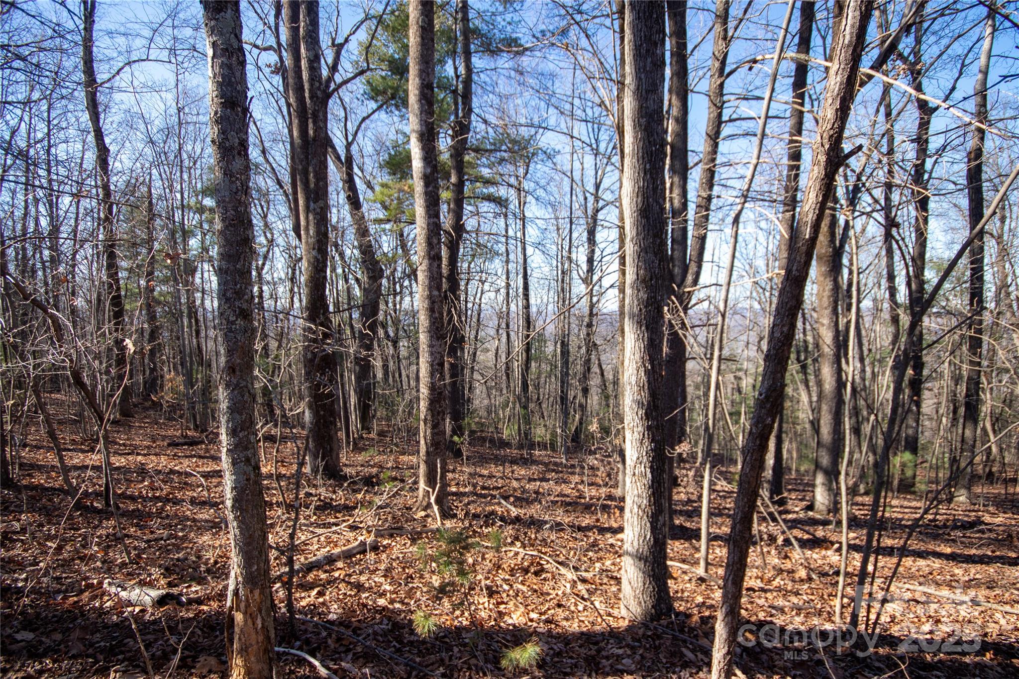 Eagle Heights - Land