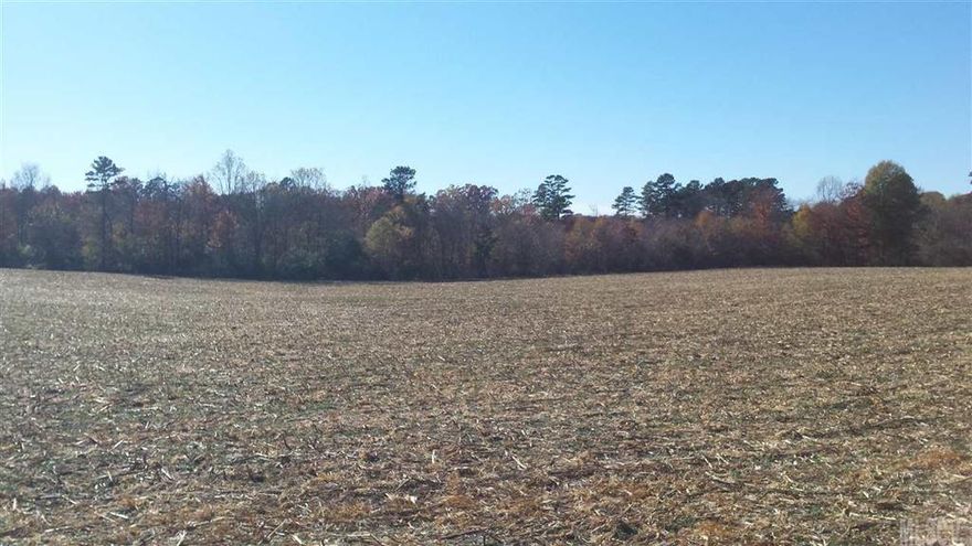 Beautiful 36 acre tract in the Wittenburg area of Alexander County. The road frontage portion of the land is currently farmed and the rear is wooded with trails featuring wildlife and a nice topography.