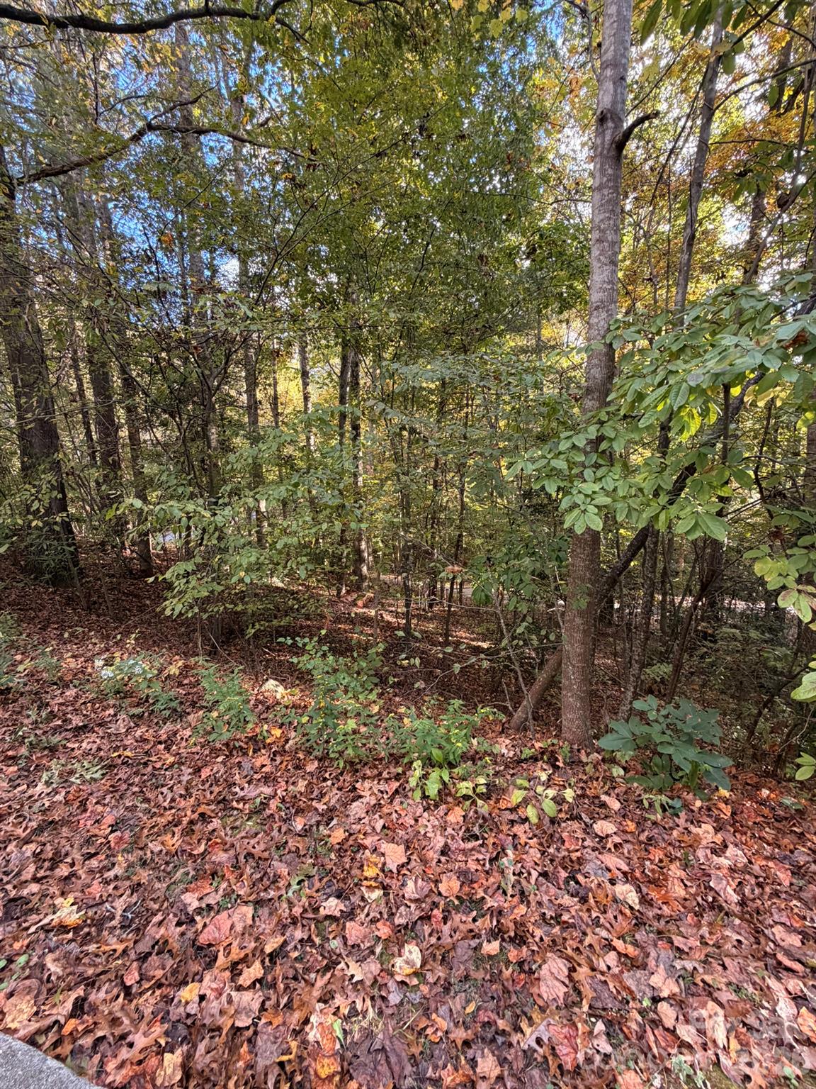 00 Charlotte Ann Ln Charlotte Ann Lane 34