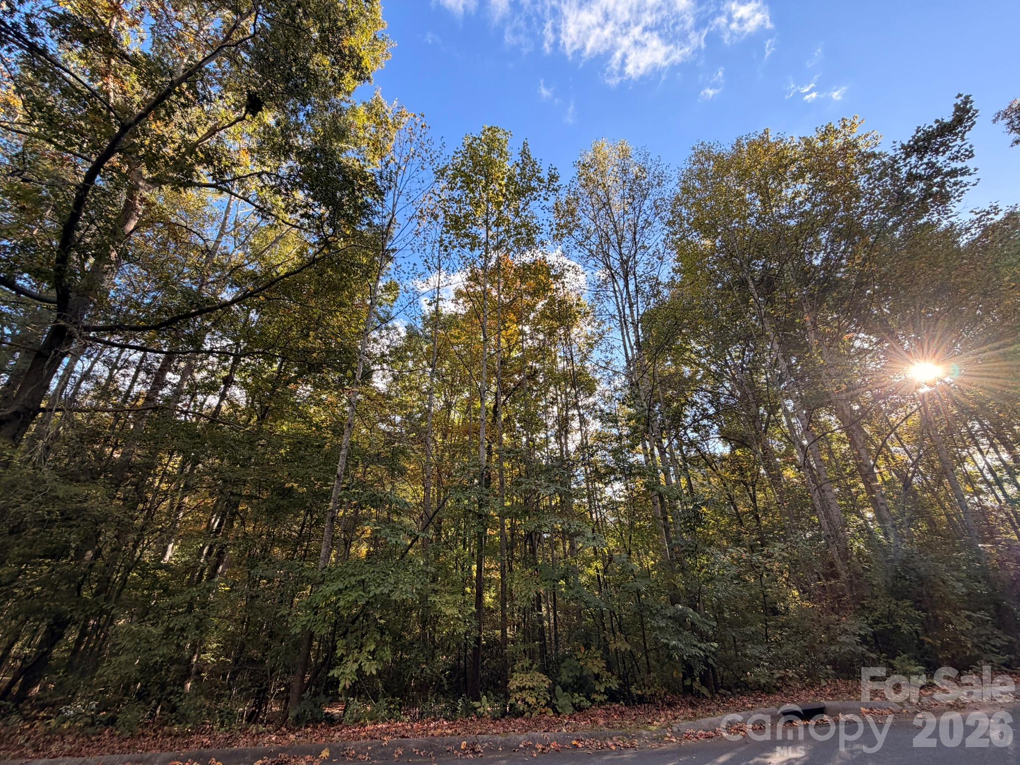 00 Charlotte Ann Ln Charlotte Ann Lane 34