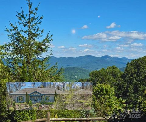 111 Flora Rose Trail Asheville NC 28803