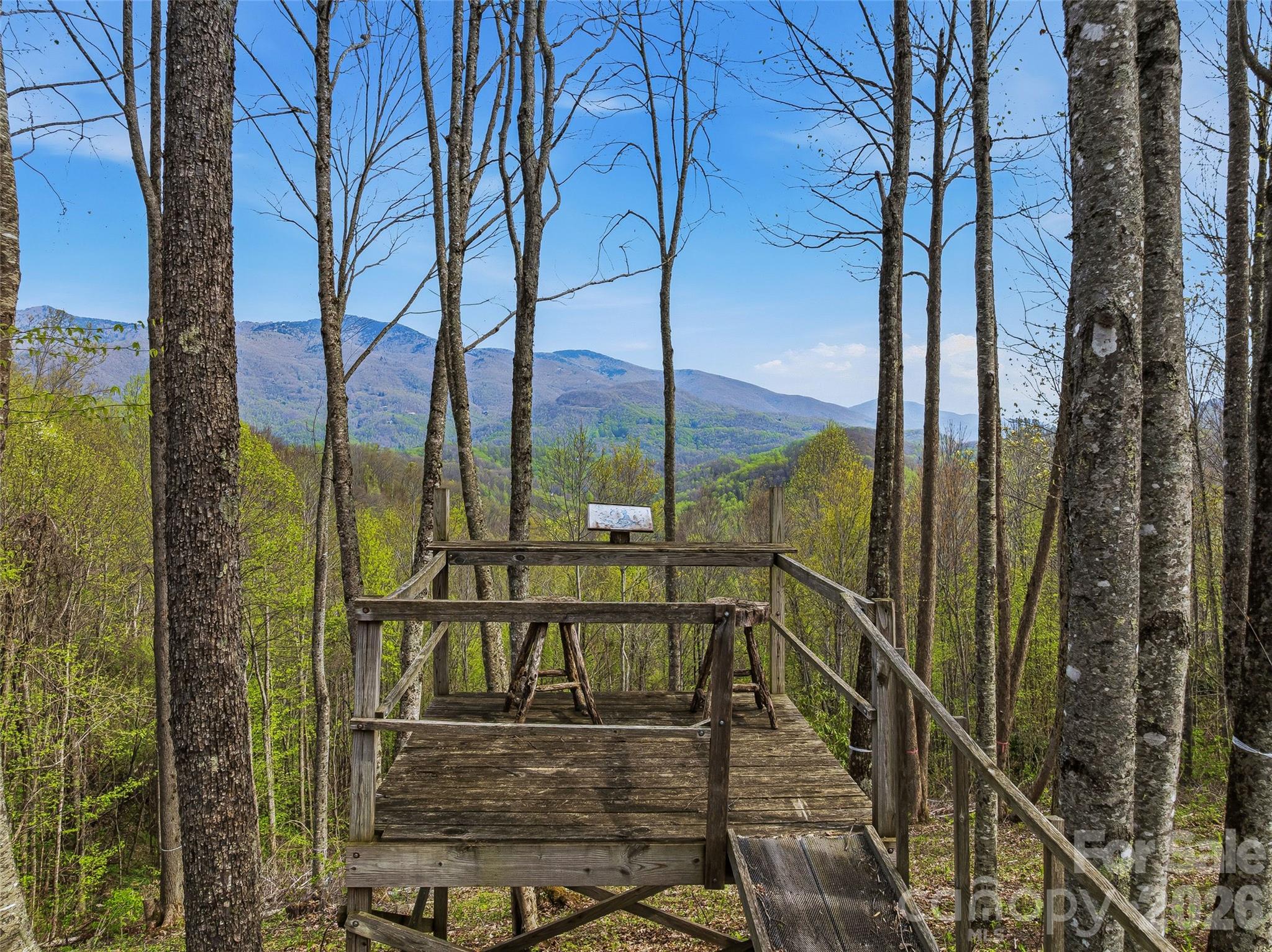 Balsam Mountain Preserve - Land