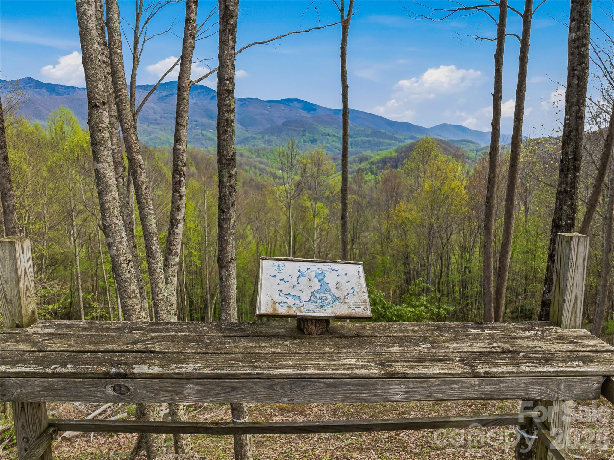 Balsam Mountain Preserve - Land