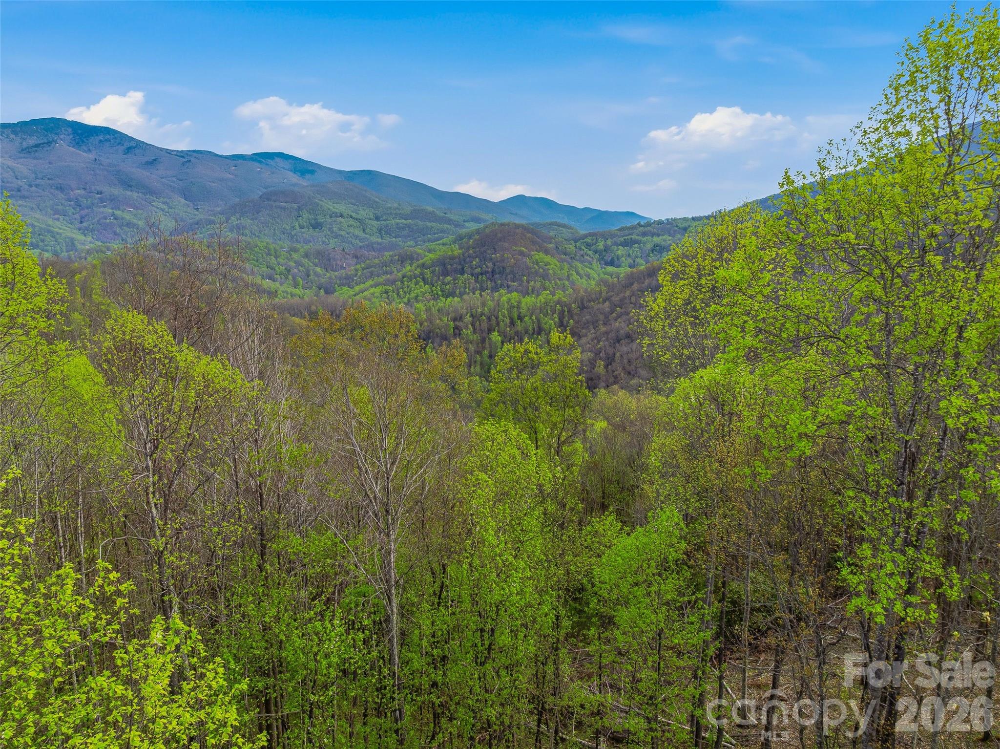 Balsam Mountain Preserve - Land