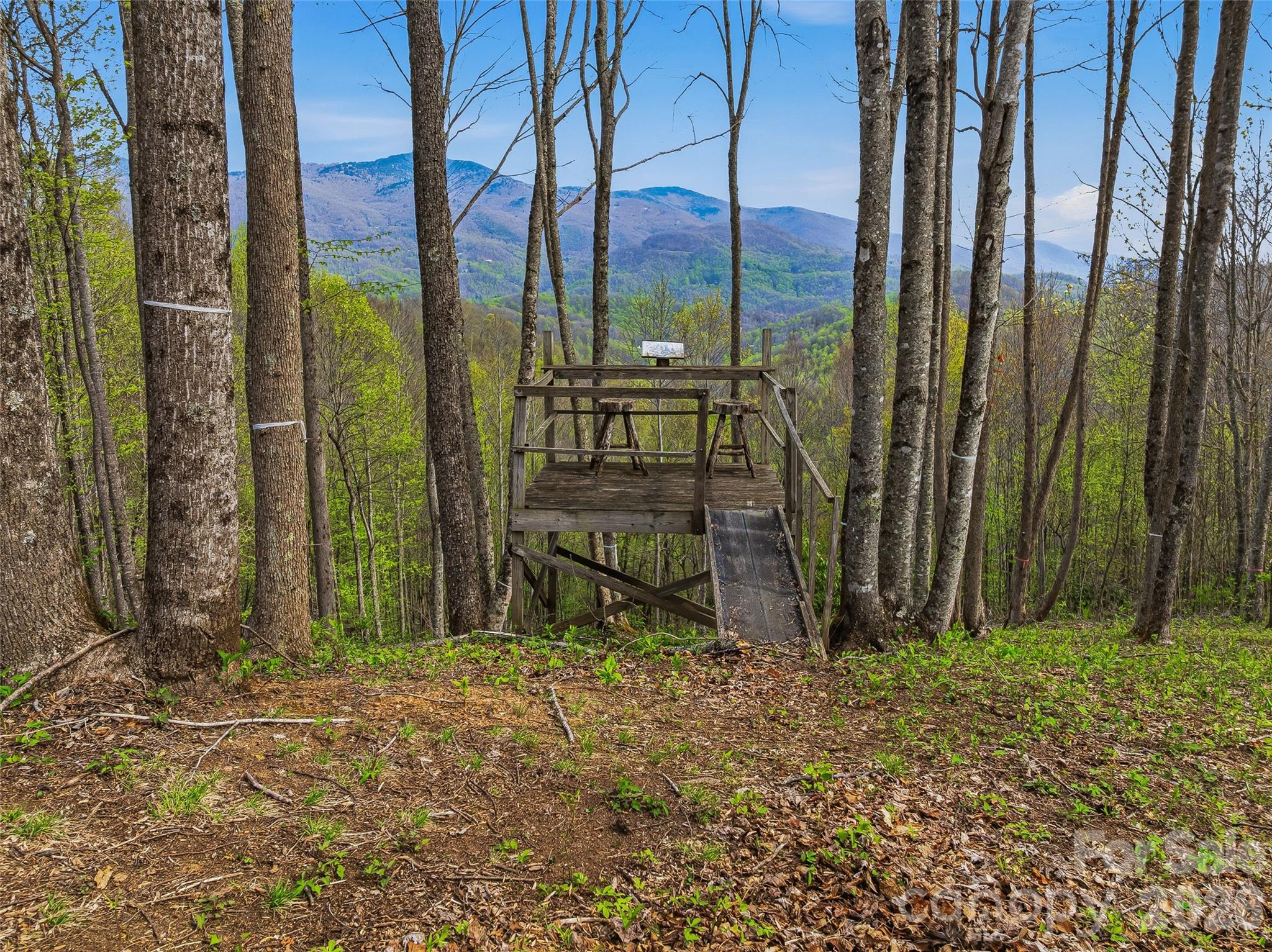 Balsam Mountain Preserve - Land
