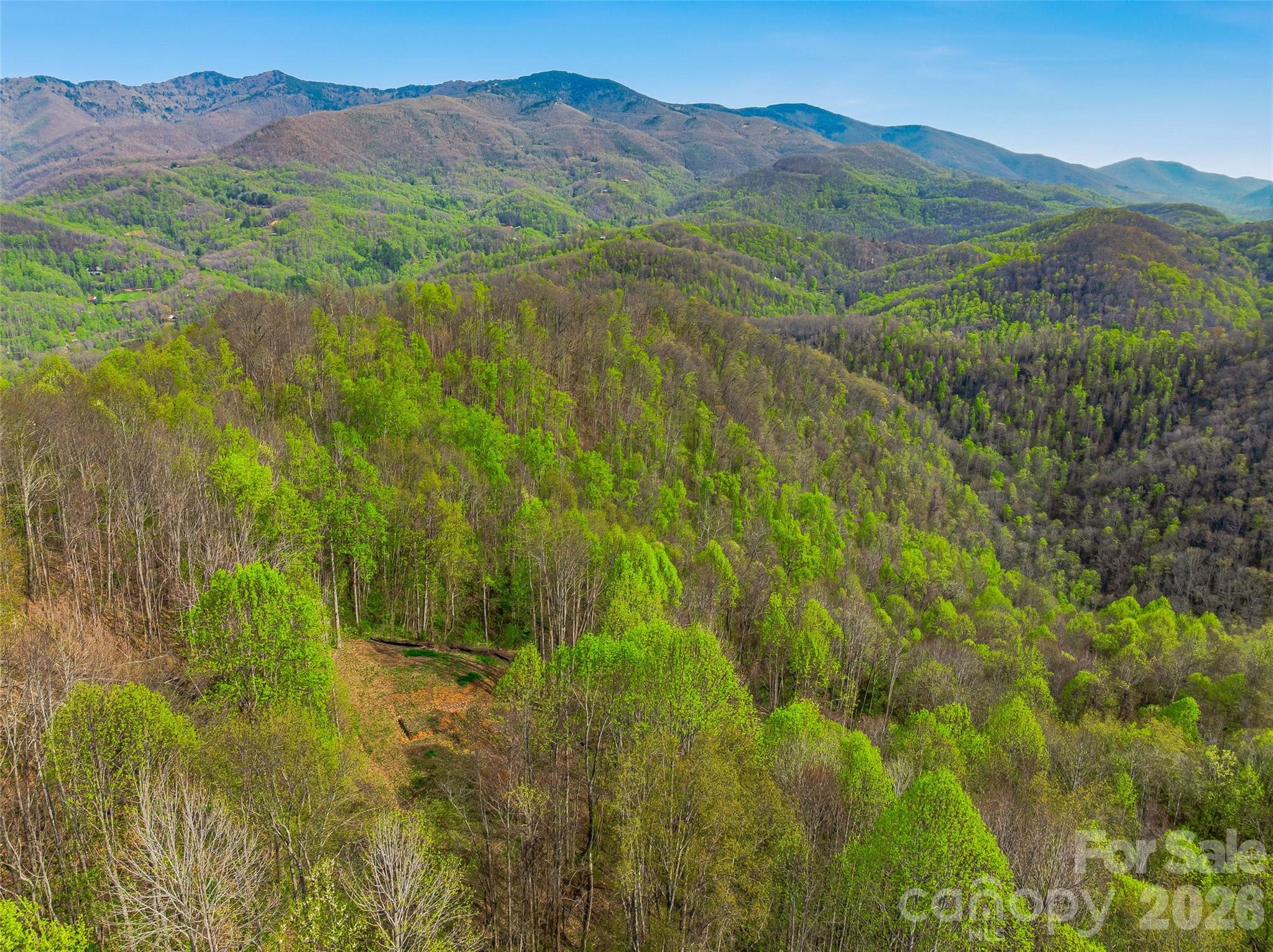 Balsam Mountain Preserve - Land