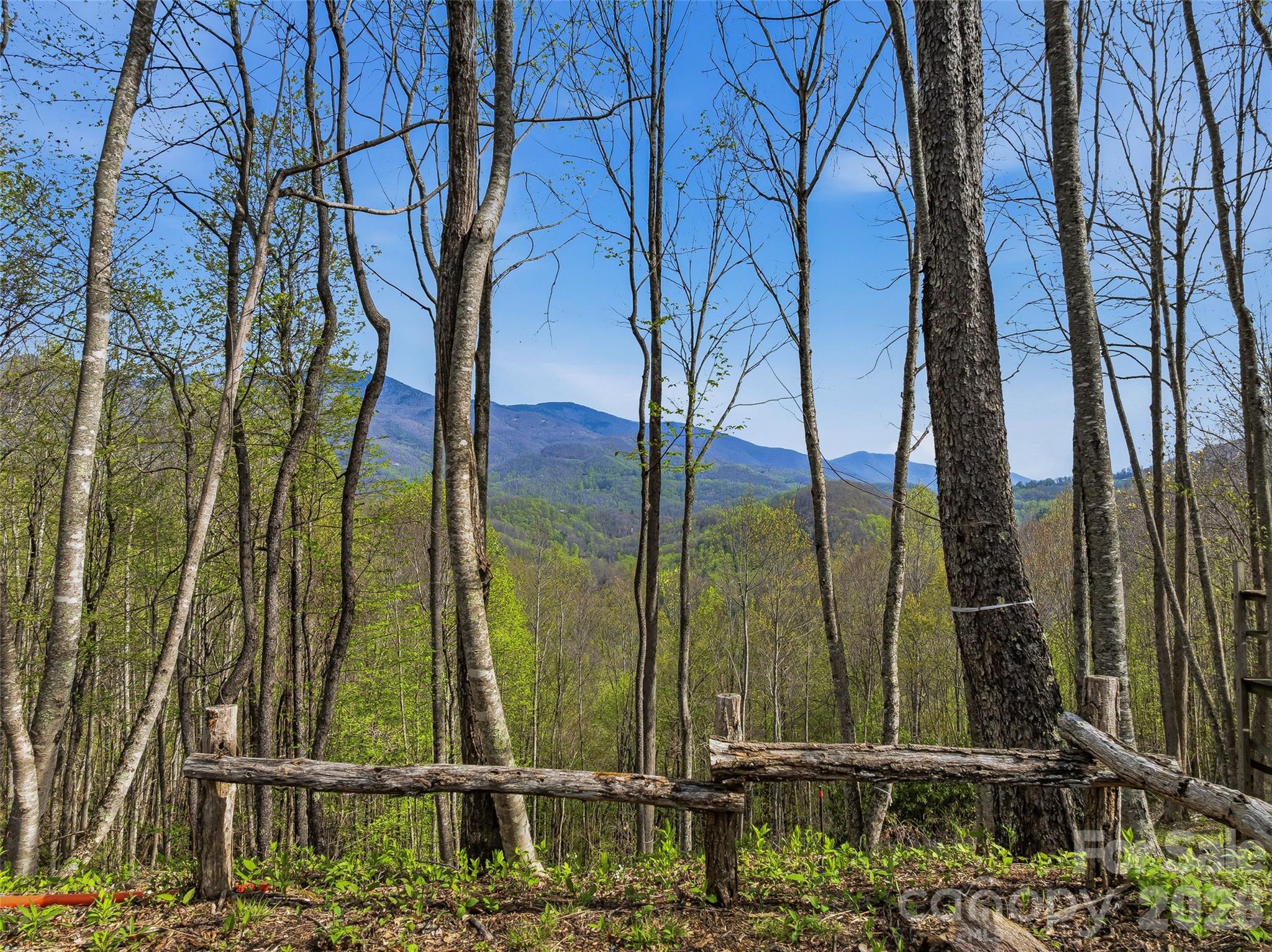 Balsam Mountain Preserve - Land