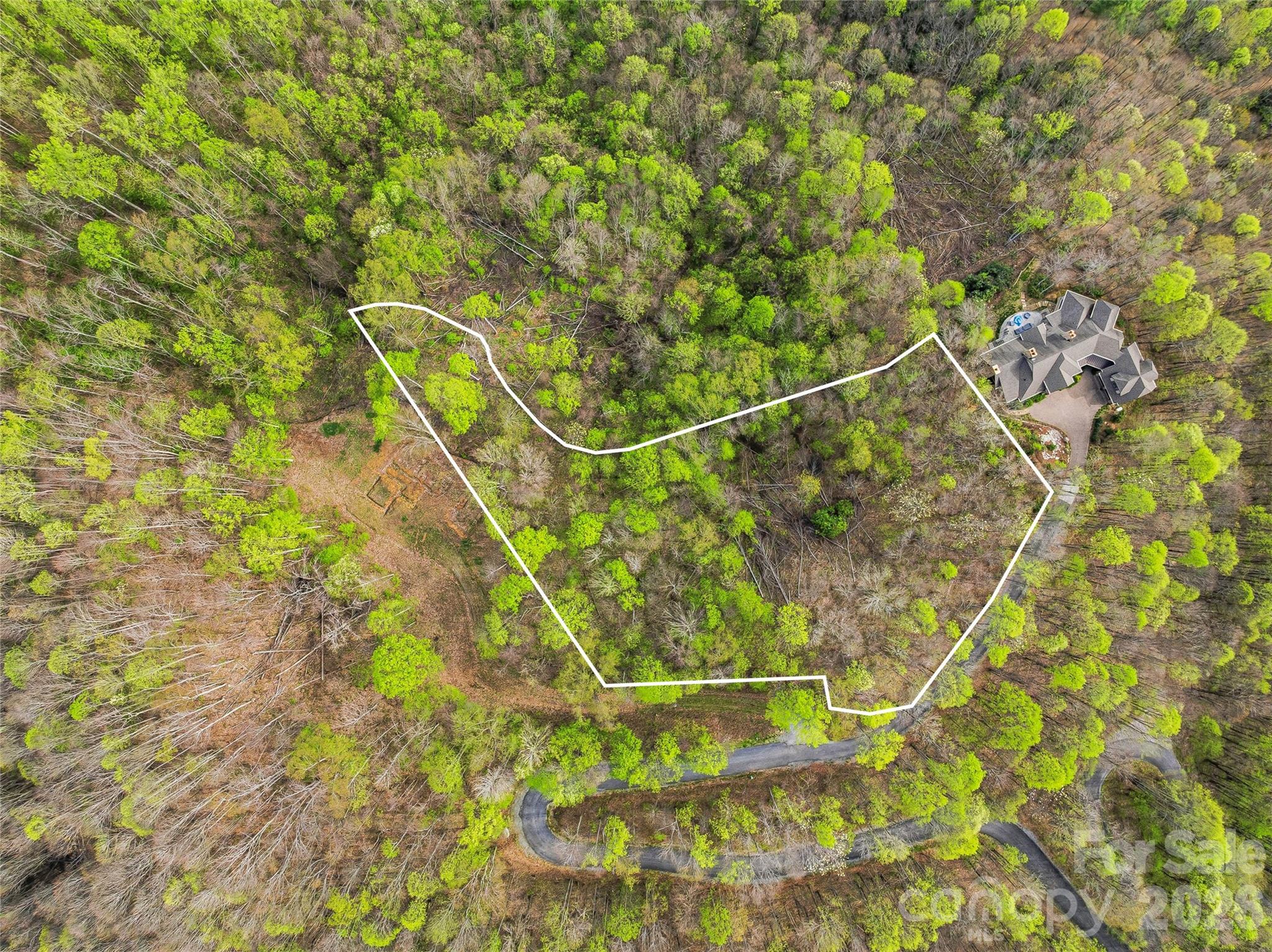 Balsam Mountain Preserve - Land