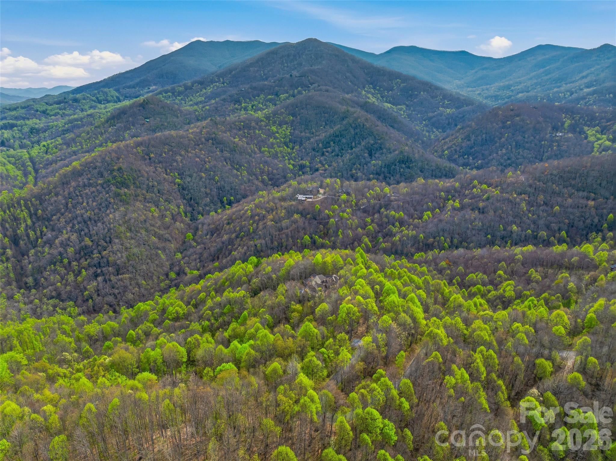 Balsam Mountain Preserve - Land