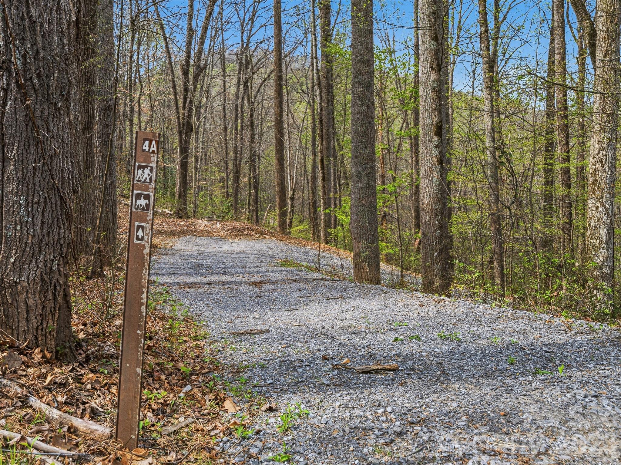 Balsam Mountain Preserve - Land