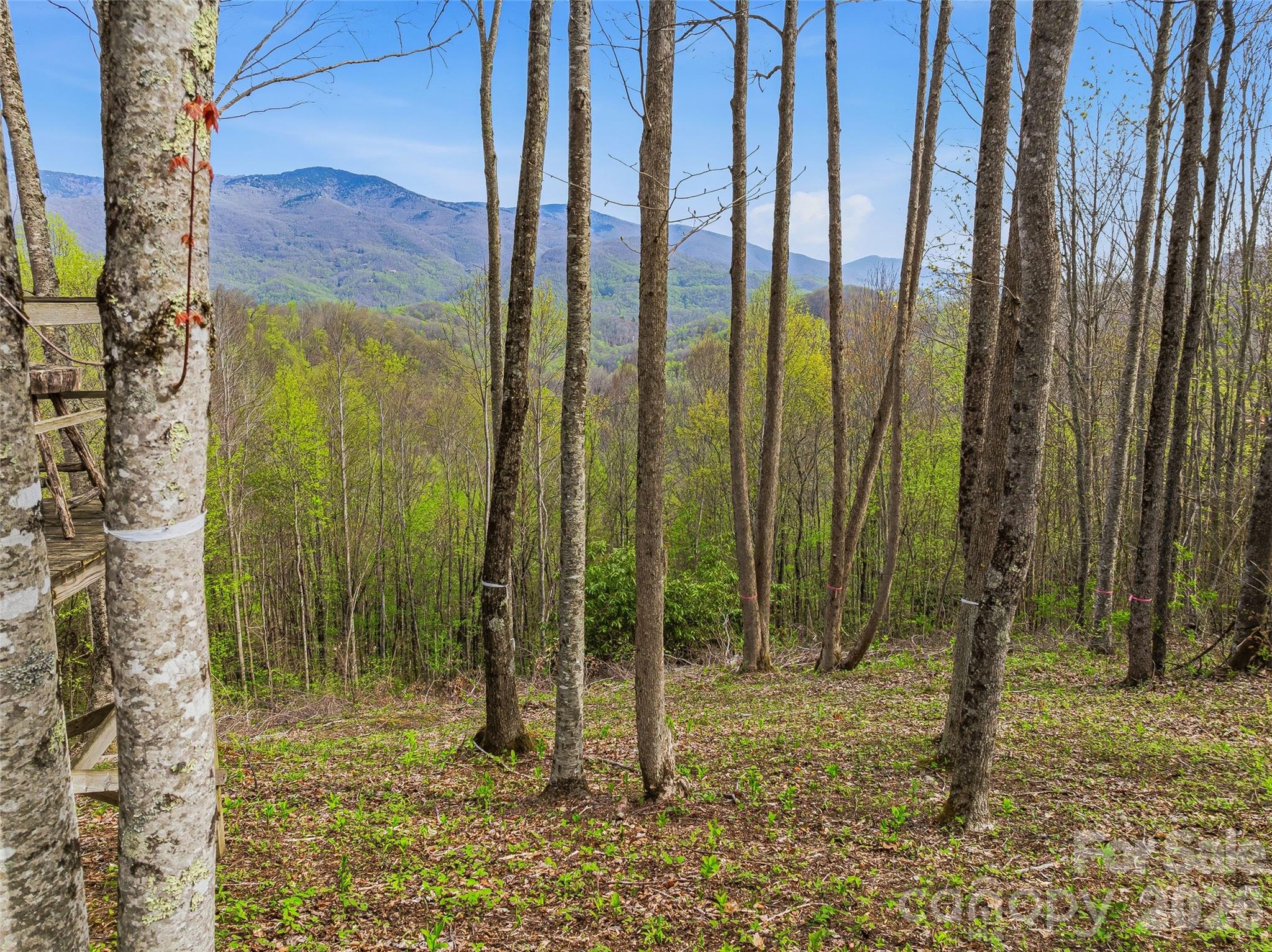 Balsam Mountain Preserve - Land
