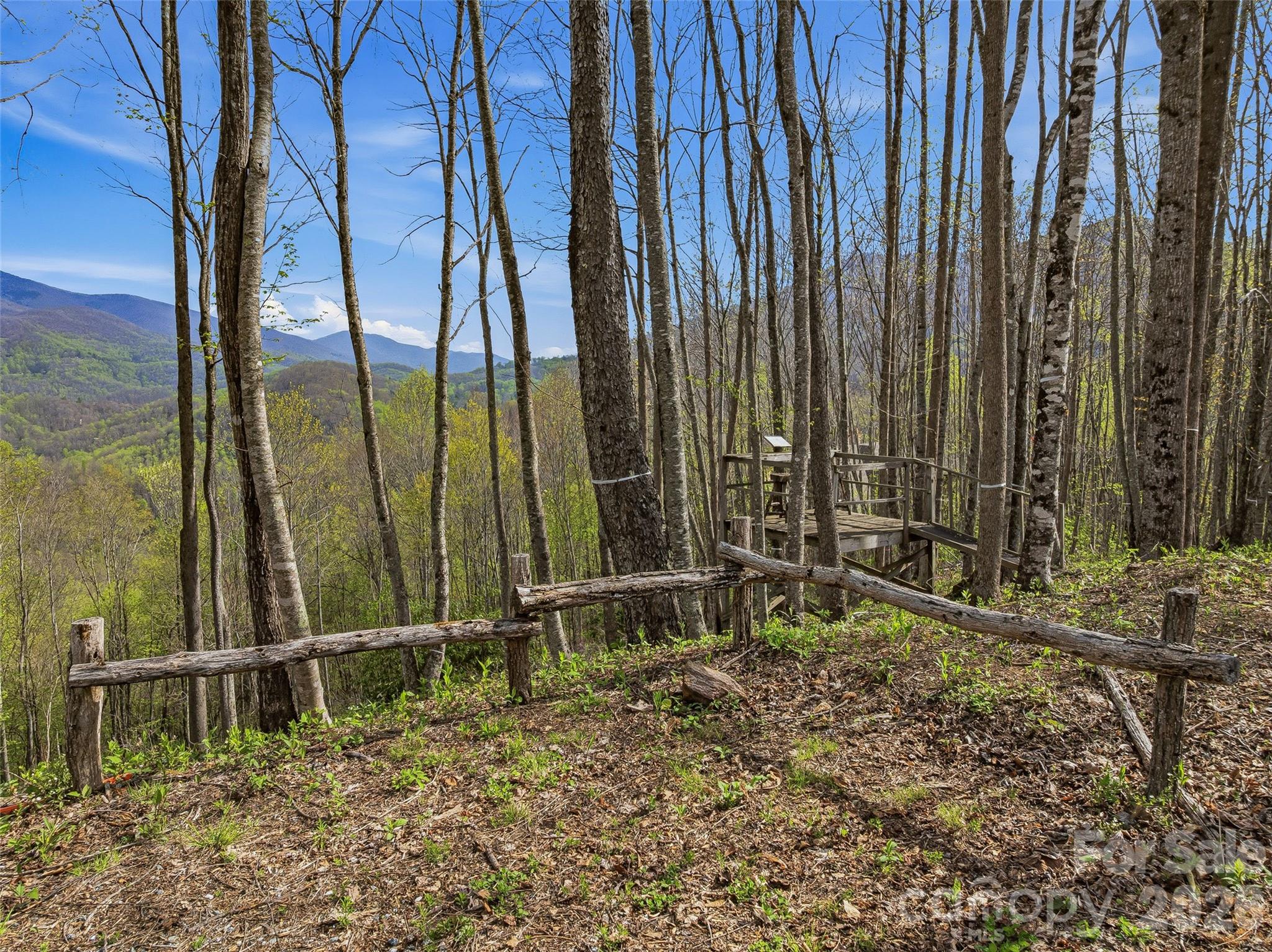 Balsam Mountain Preserve - Land