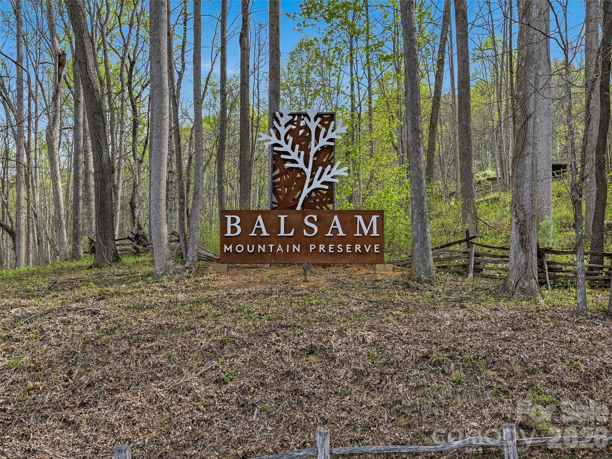 Balsam Mountain Preserve - Land