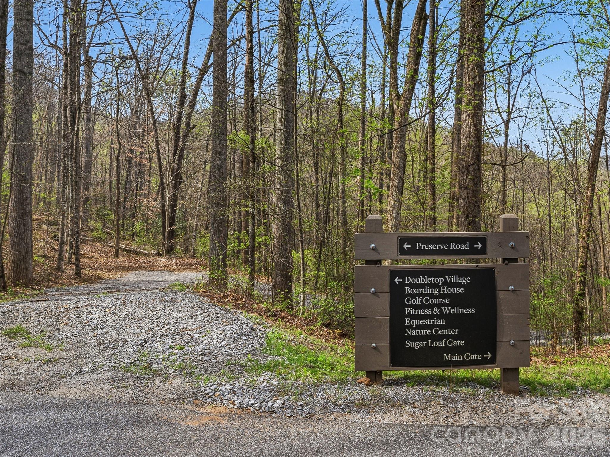 Balsam Mountain Preserve - Land