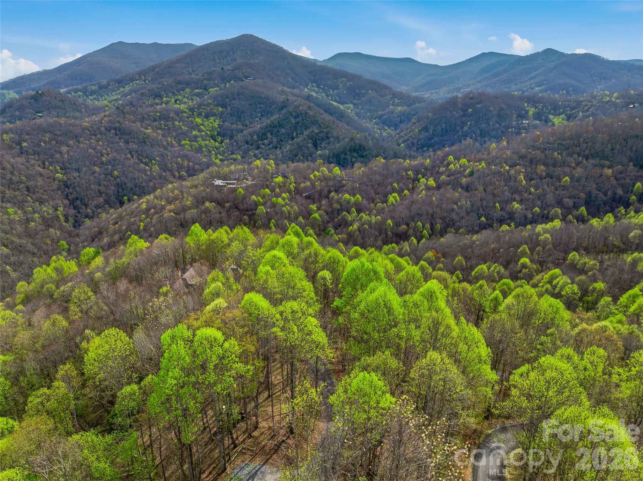 Balsam Mountain Preserve - Land