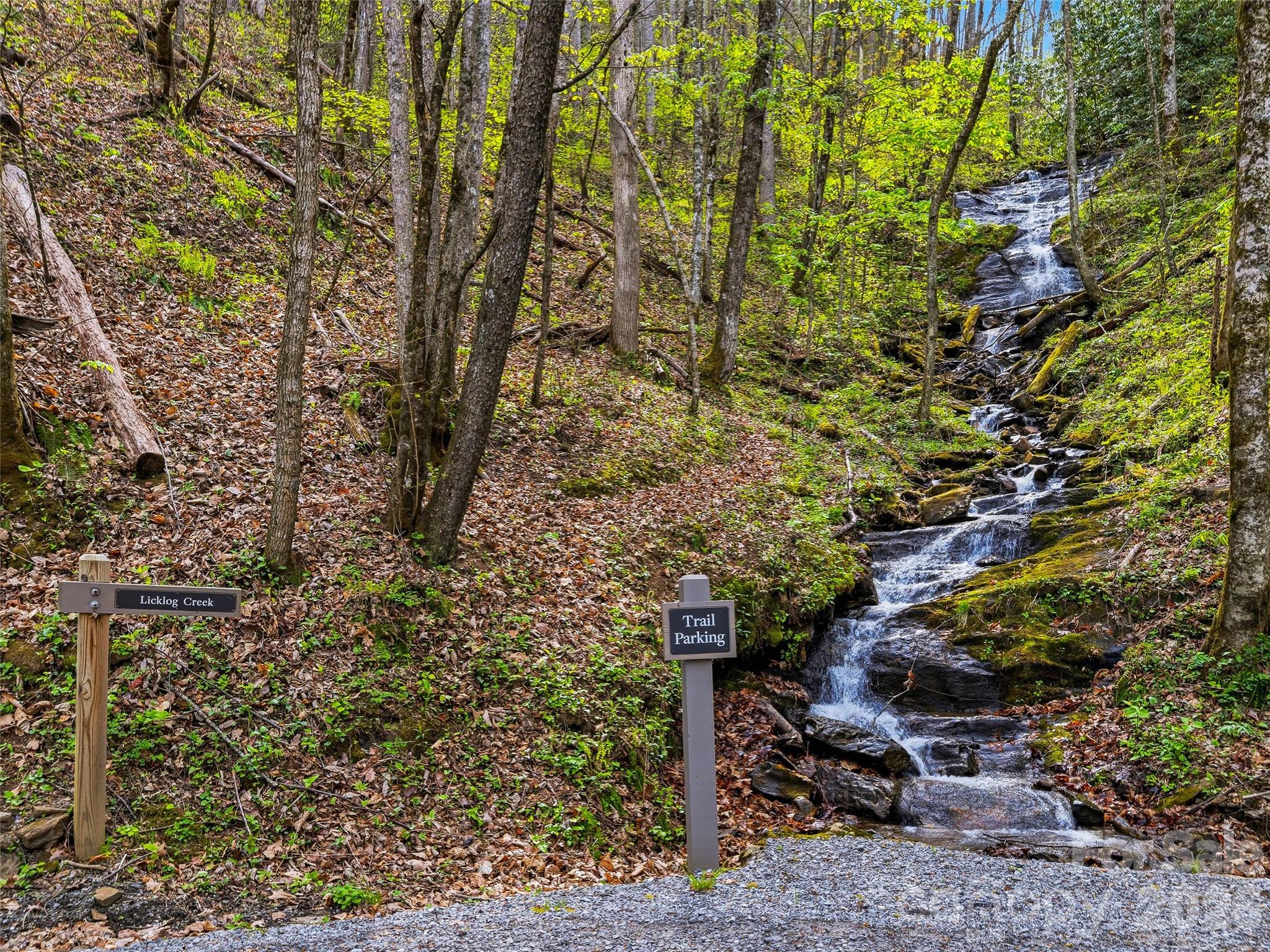 Balsam Mountain Preserve - Land
