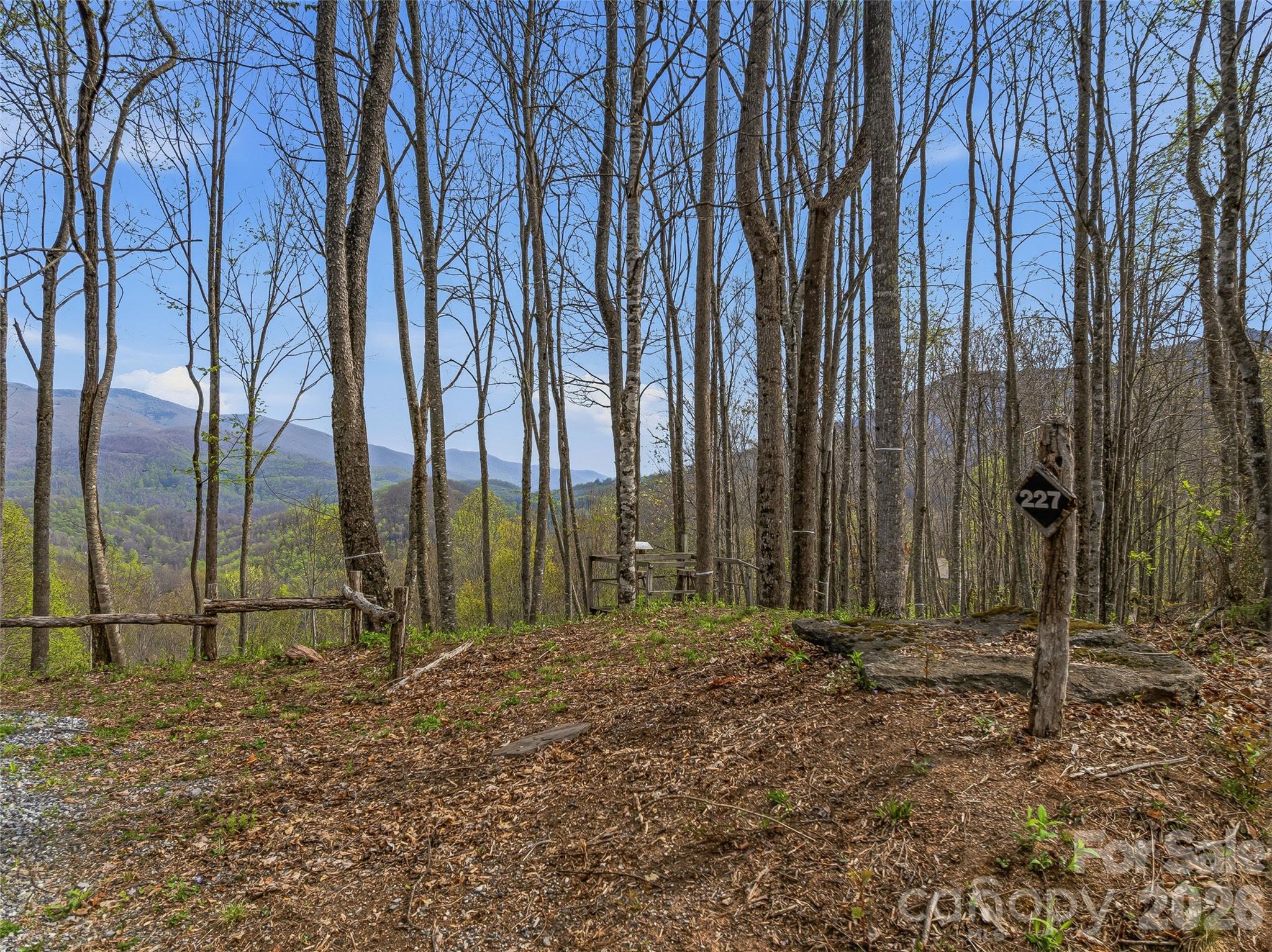 Balsam Mountain Preserve - Land