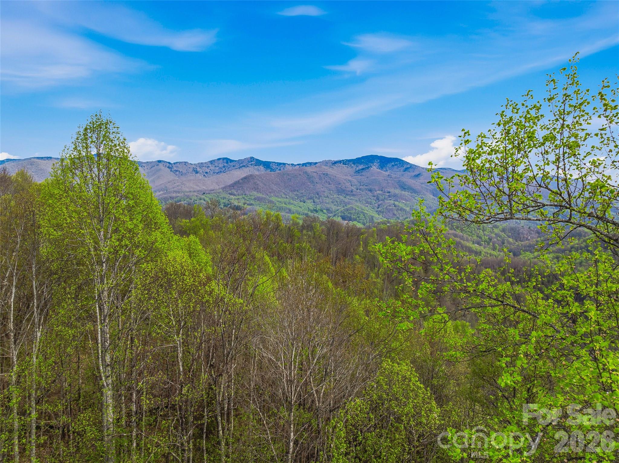 Balsam Mountain Preserve - Land