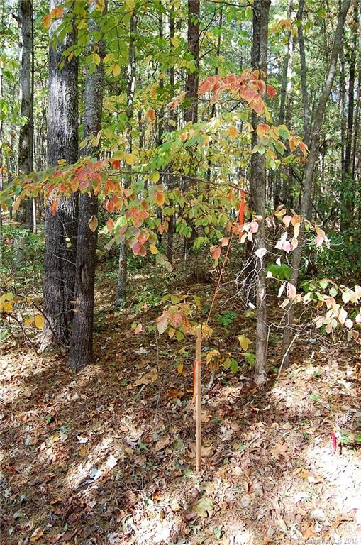 Woodridge Place - Land