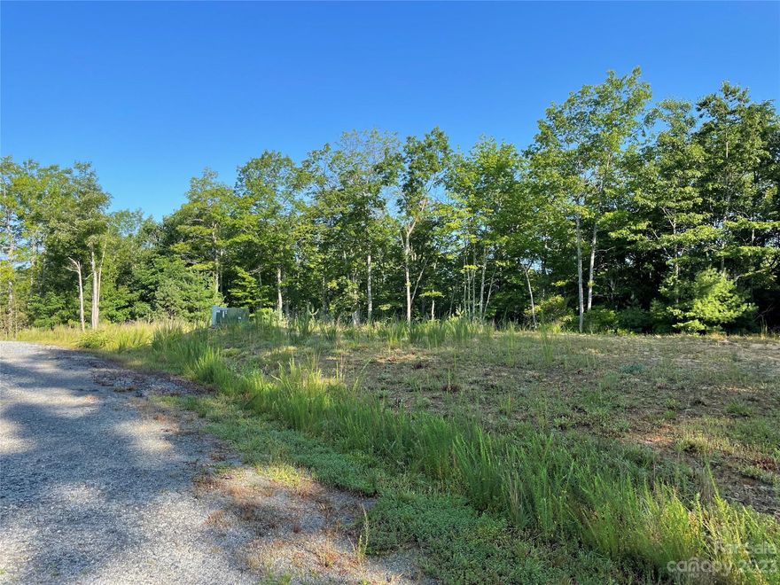 Easy building lot in a well maintained a quaint neighborhood. Hook right into the community water system and power is on the road. The build site is cleared with a gently sloping wooded hill and possible short range winter views. Blythe woods is a small neighborhood with nice homes and good neighbors. This location is close to Dupont State Forest and the trout fishing waters of the East Fork River.  It is short drive to Cedar Mountain where you will find restaurants, beer gardens, live music, shops and stores. Its not easy to find a flat building lot in these beautiful mountains so make an appointment today to see your new homesite in Blythe Woods. Adjoining lot is also for sale. Currently the only fee paid by home owners is the shared cost of the well. That is around $40 a month. These fees may increase in the future. Buyer should confer with HOA representative.