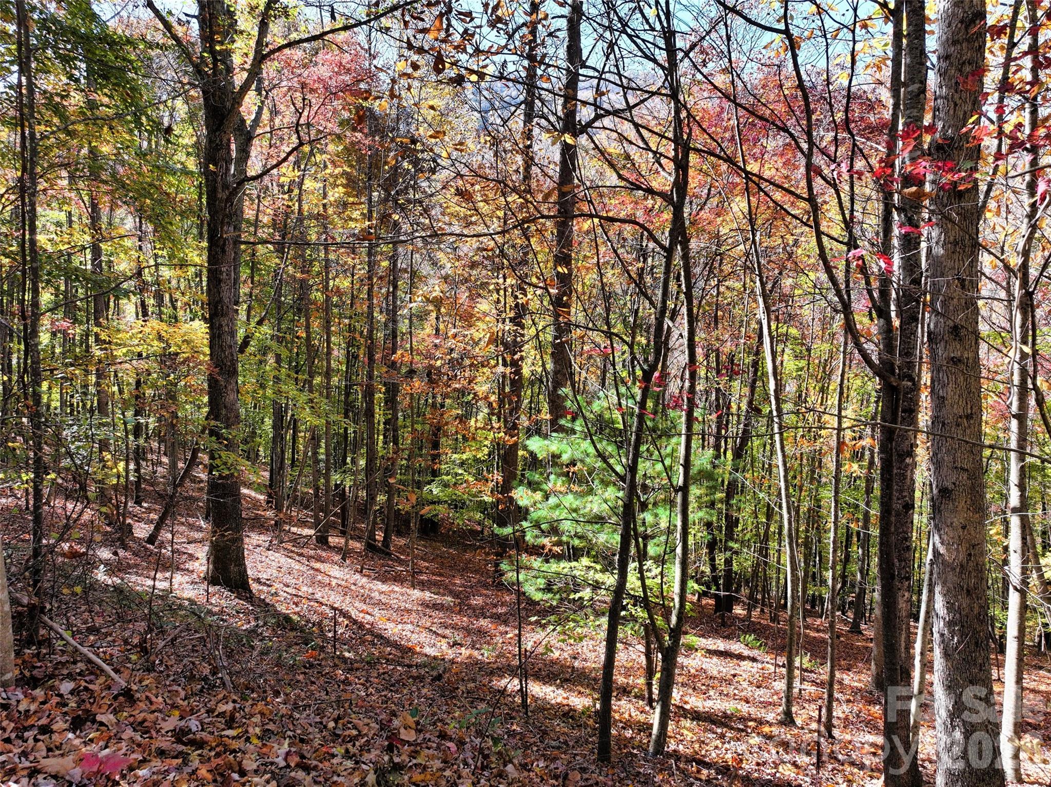 829 Stoney Stream Lane