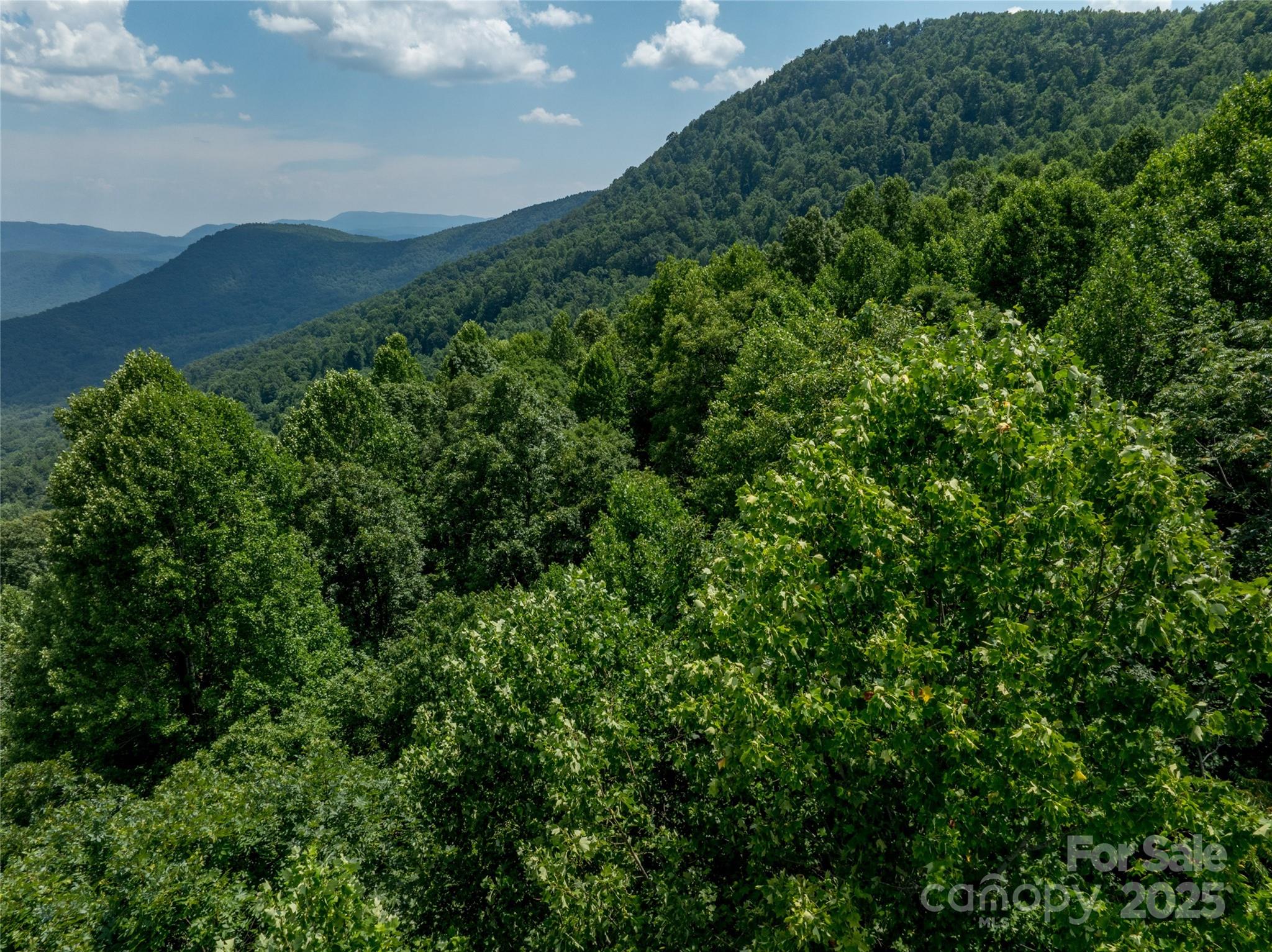 Brights Creek - Land