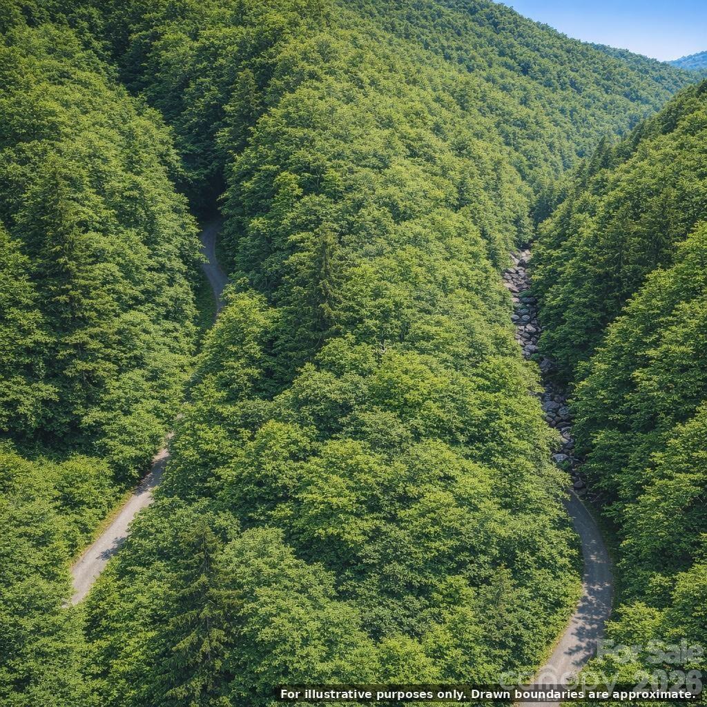 0000 Rainbow Trout Drive