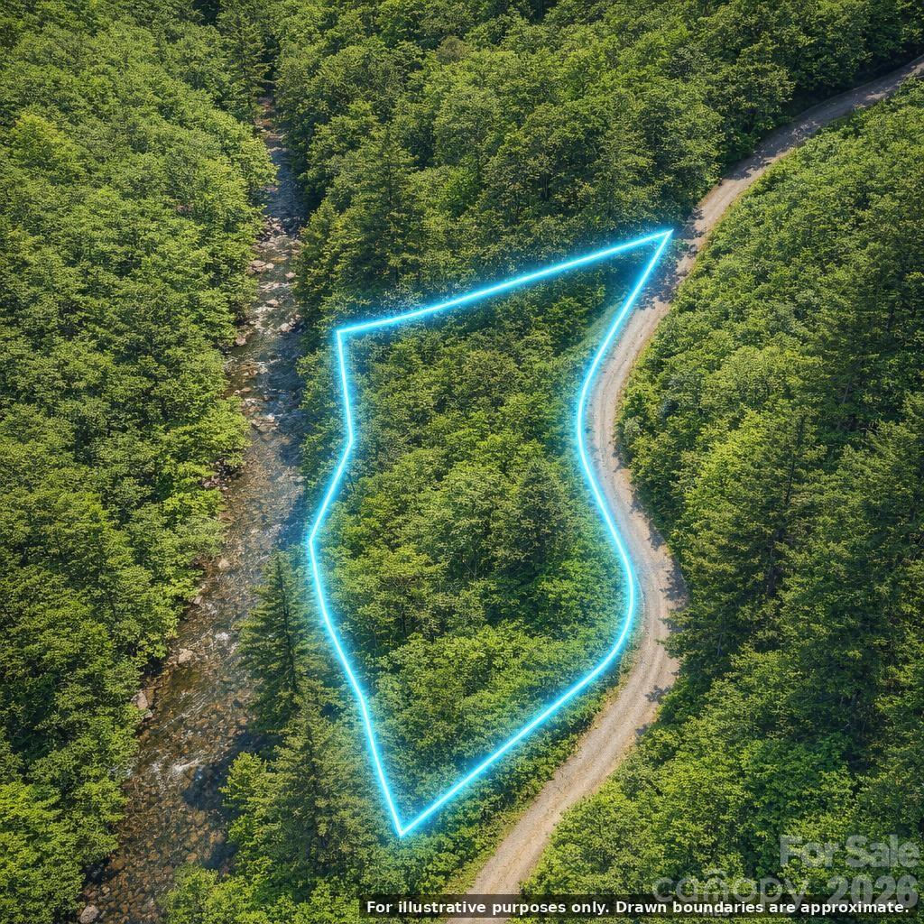 0000 Rainbow Trout Drive, Burnsville, NC, 28714