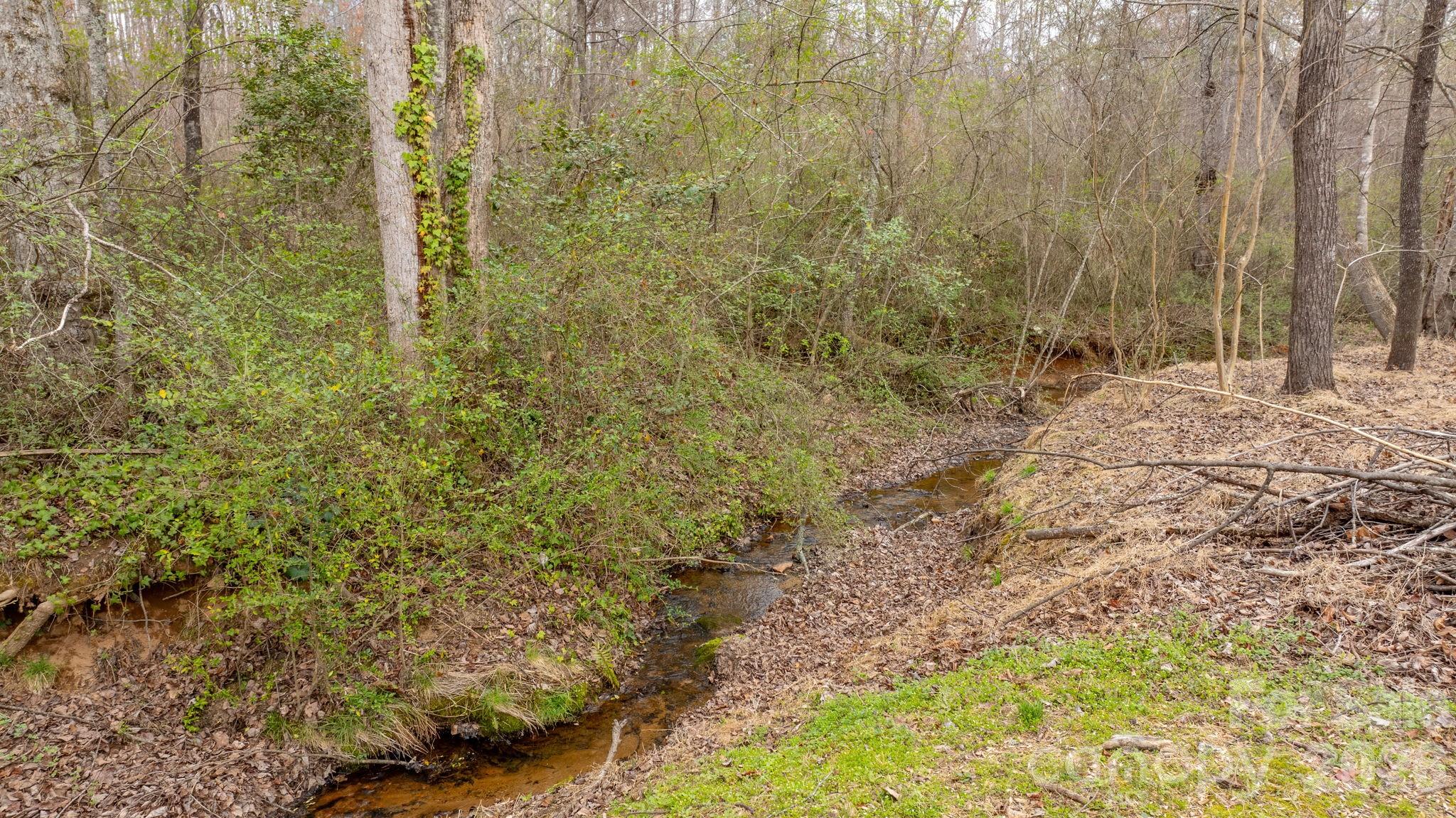 Wittenburg Springs - Residential