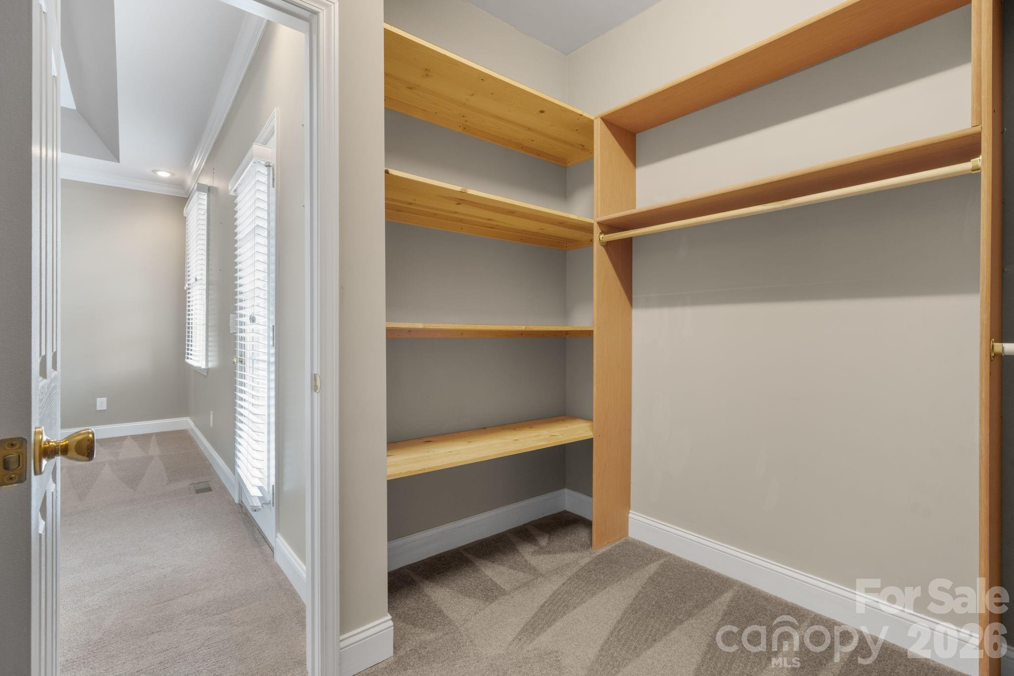 Wittenburg Springs - Residential