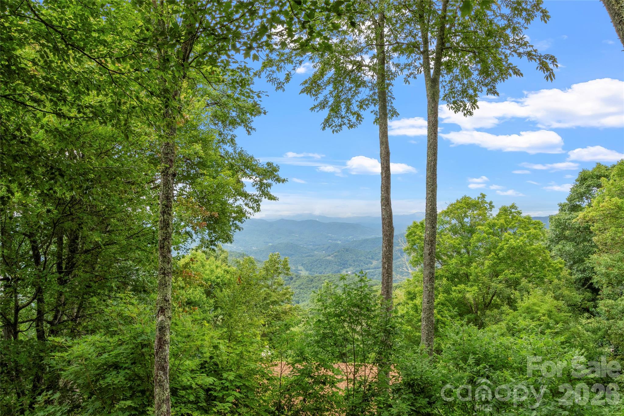 Mountain Air - Residential
